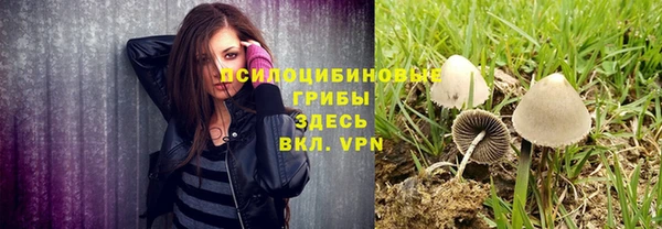альфа пвп Лиски